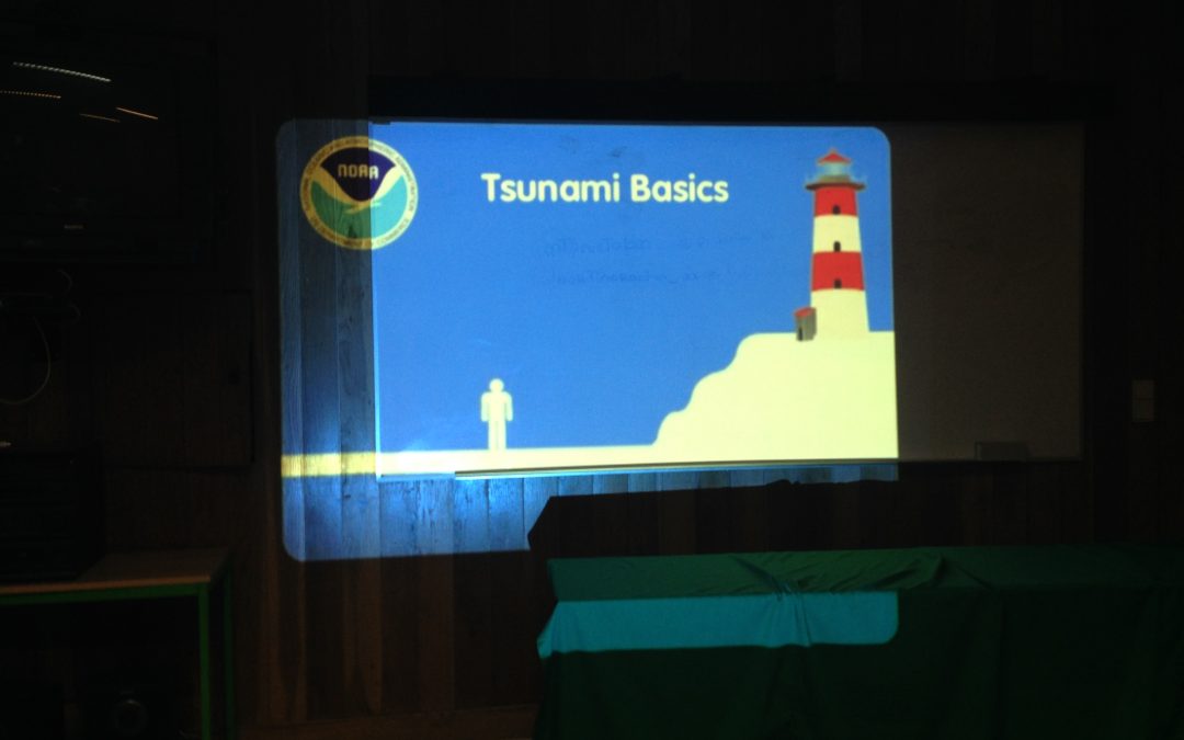 Álvares Cabral assinala o Dia mundial de sensibilização para o risco de Tsunami