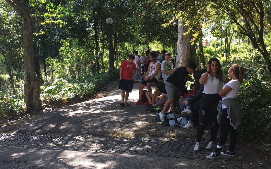 Actividade de Final de Ano