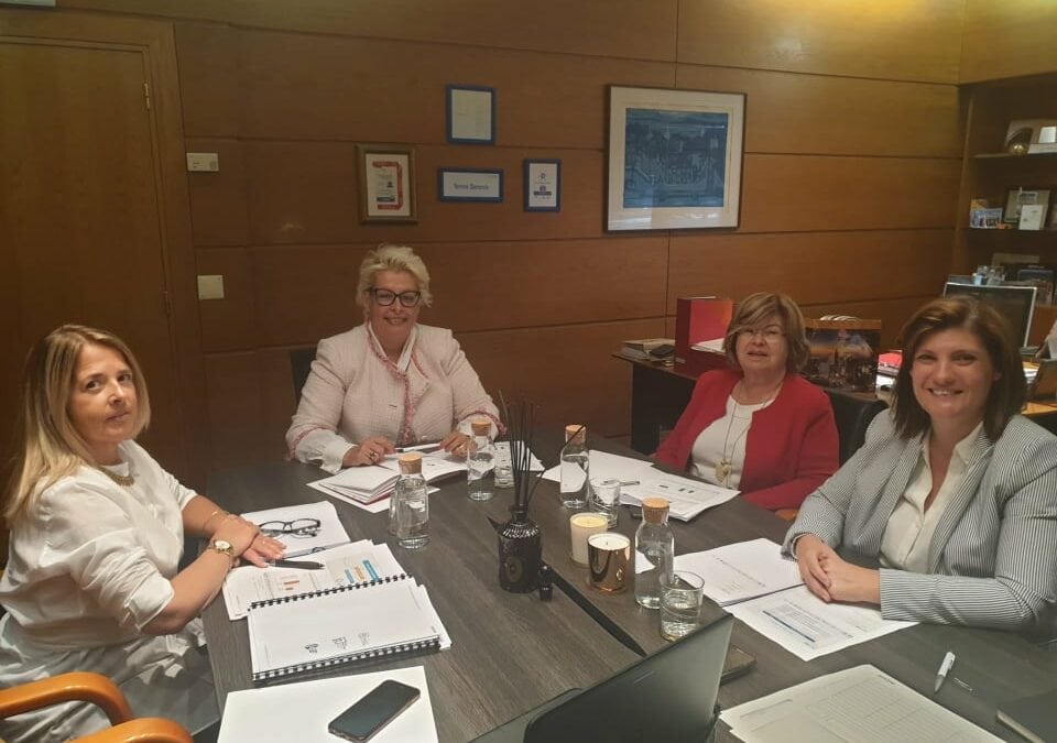 Reunião do Conselho de Administração da ENSINUS